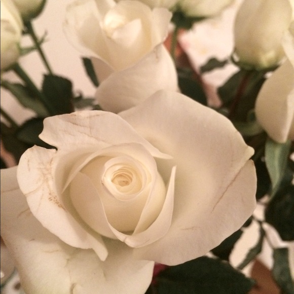 Meet your Posher, Natalya - Picture 1 of 1